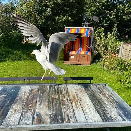 Nolte Faarderhuuch 7 *