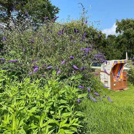 Amrum Family Hideaway-grosse In Für Bis Zu 6 Personen *